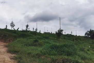 Jalan Besar, Nilai-Pajam