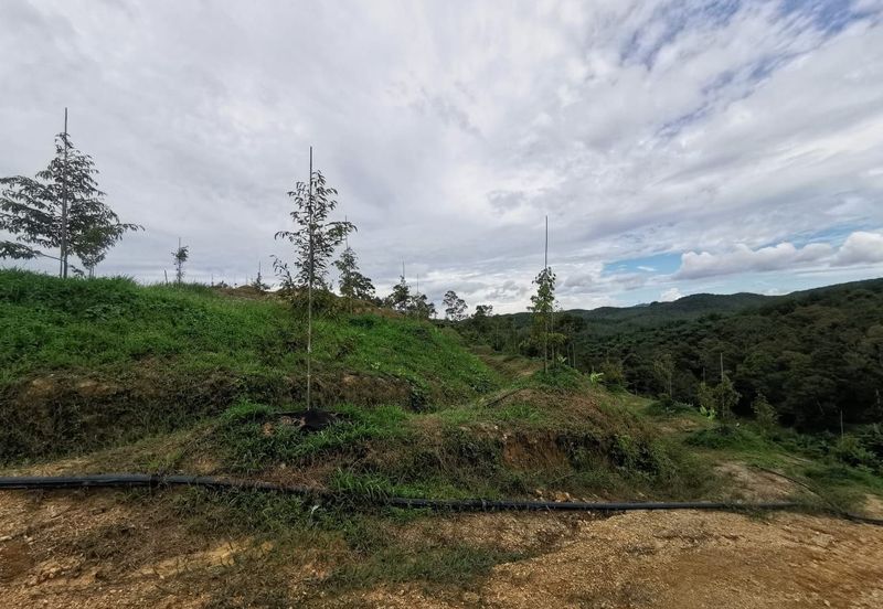 Jalan Besar, Nilai-Pajam