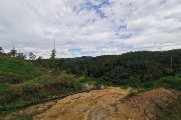 Jalan Besar, Nilai-Pajam