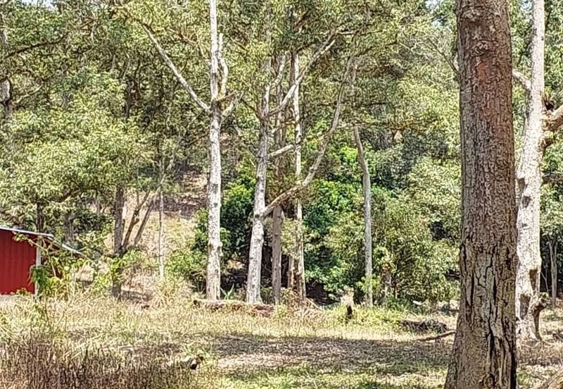 Jalan Besar, Nilai-Pajam