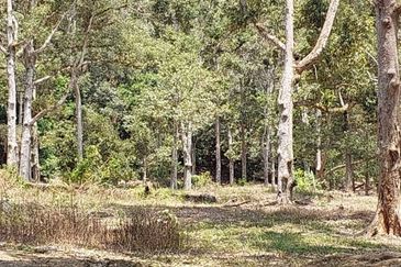 Jalan Besar, Nilai-Pajam