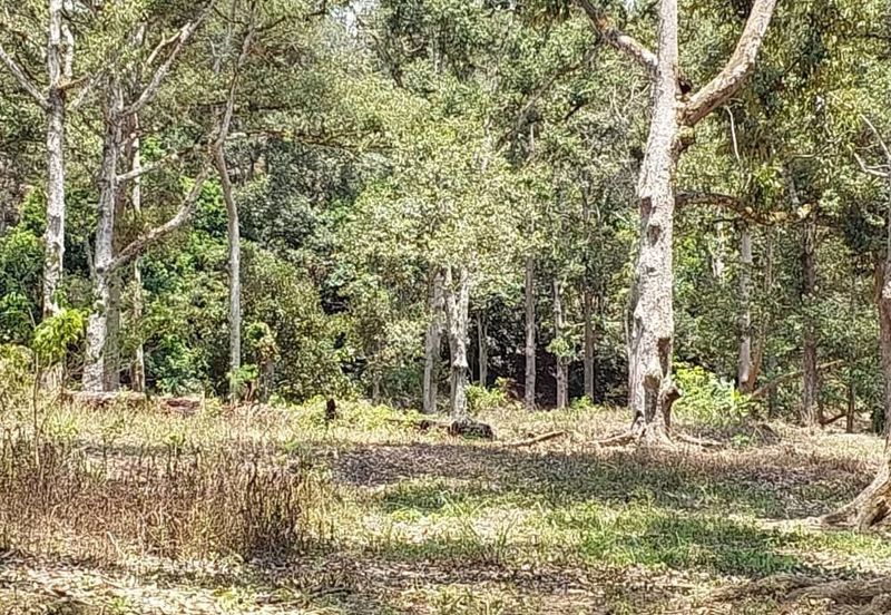 Jalan Besar, Nilai-Pajam