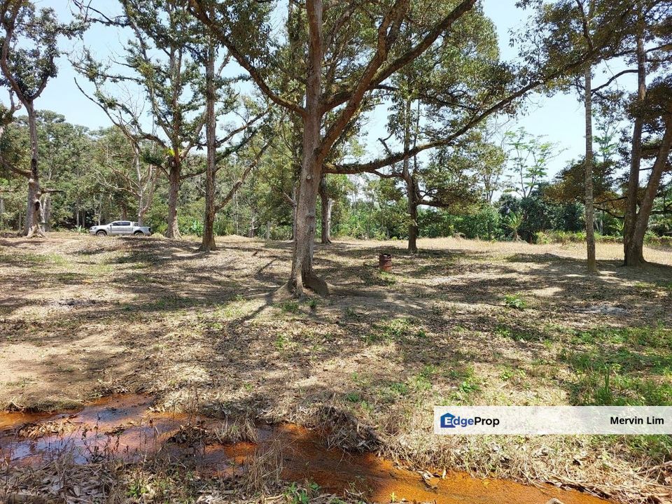 Pajam Nilai Agriculture Land for sale non bumi Seremban Negeri Sembilan, Negeri Sembilan, Nilai