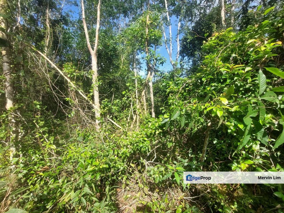 Bukit Tinggi Bentong Town 2.25 Acres Agricultural Land for sale Pahang, Pahang, Bentong