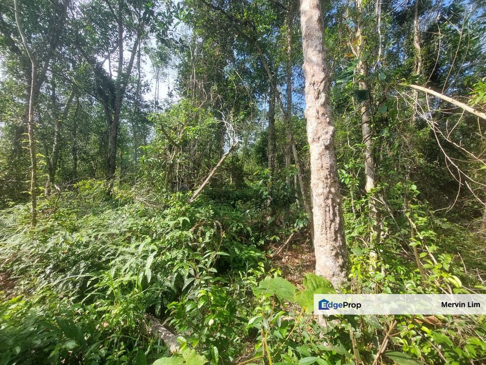 Bukit Tinggi Bentong Town 2.25 Acres Agricultural Land for sale Pahang, Pahang, Bentong