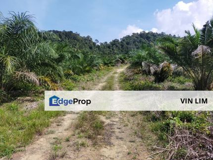 Paroi , Ampangan , 5 acres Agriculture Land with Palm Oil Trees for sale, Negeri Sembilan, Seremban