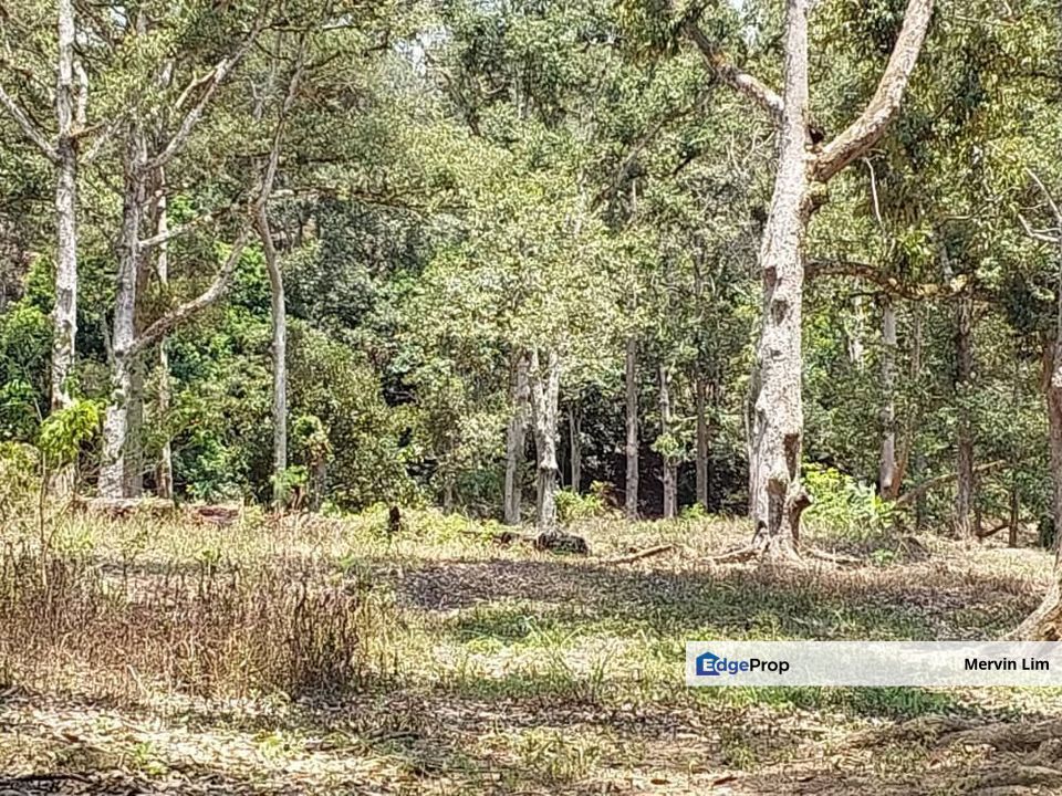 Jelebu Titi Agriculture Land for sale with Durian Farm Seremban negeri Sembilan, Negeri Sembilan, Jelebu