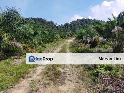 Bentong bukit tinggi Land for sale Suitable for Tourism and Homestay freehold non bumi Pahang, Pahang, Bentong