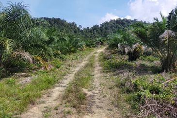 Bentong bukit tinggi Land for sale Suitable for Tourism and Homestay freehold non bumi Pahang