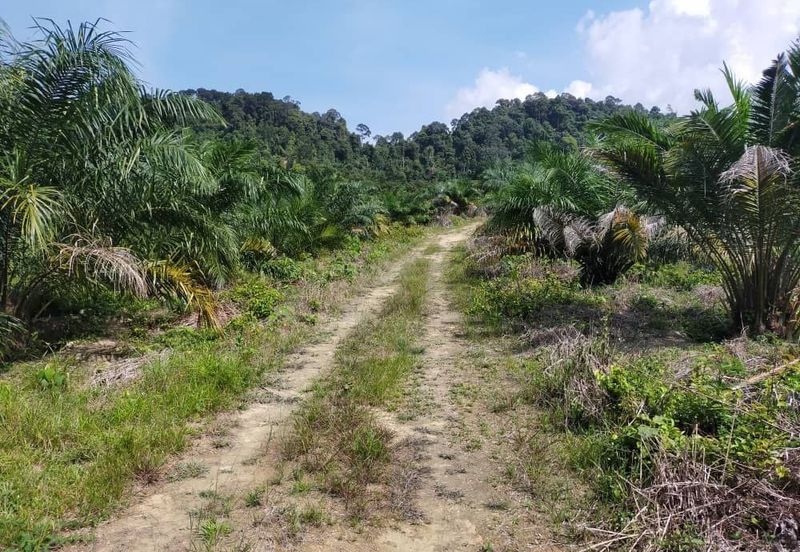 Bentong bukit tinggi Land for sale Suitable for Tourism and Homestay freehold non bumi Pahang