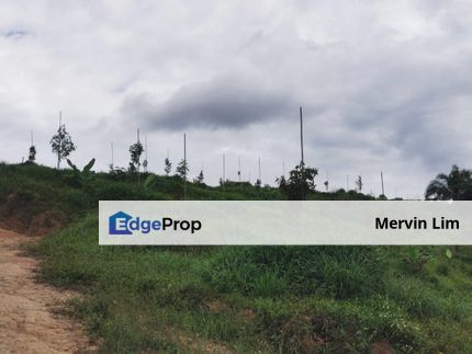 Jempol Agriculture Land Durian trees Seremban Negeri Sembilan, Negeri Sembilan, Jempol