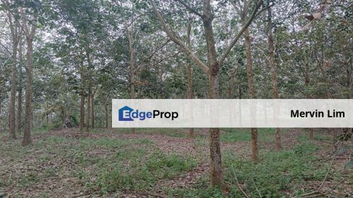 Jasin Melaka near Tangkak Agriculture Land with Palm oil Trees and Rubber Trees for sale Melaka, Melaka, 