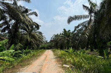 Johor Kulai Ayer Bemban Big Land for sale 25 acres Johor