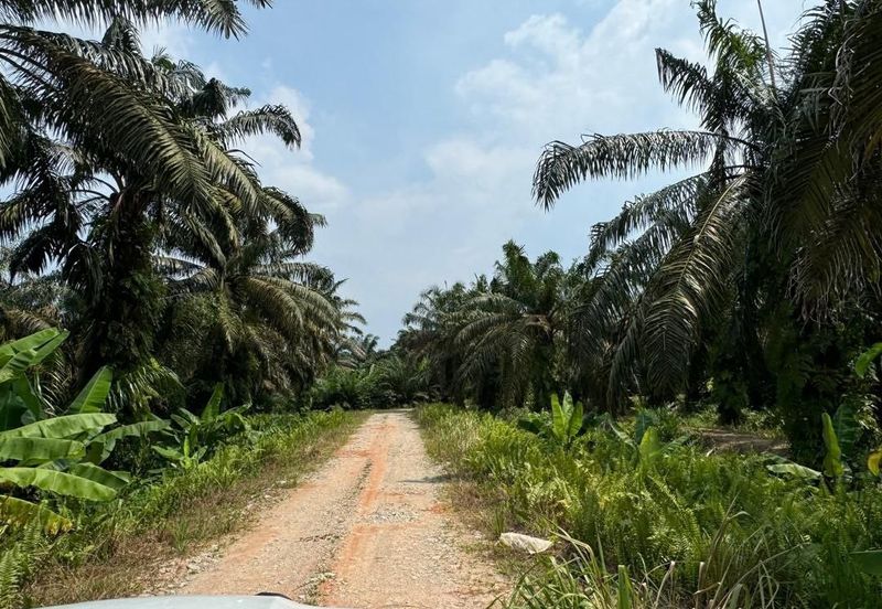 Johor Kulai Ayer Bemban Big Land for sale 25 acres Johor