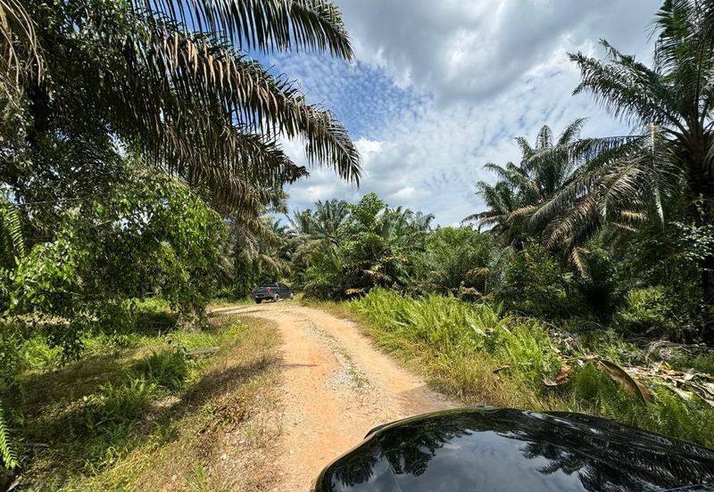 Johor Kulai Ayer Bemban Big Land for sale 25 acres Johor