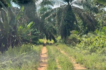 Johor Kulai Ayer Bemban Big Land for sale 25 acres Johor