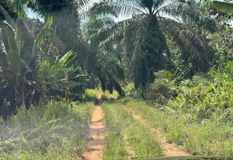 Johor Kulai Ayer Bemban Big Land for sale 25 acres Johor