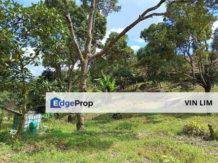 Mantin Durian Farm Land For Sale 5 + 5 acres Freehold Seremban , Negeri Sembilan, Mantin