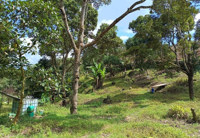 Kampung Mantin Dalam