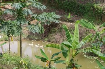 Kampung Mantin Dalam