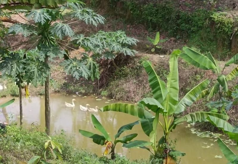 Kampung Mantin Dalam