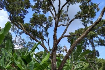 Kampung Mantin Dalam