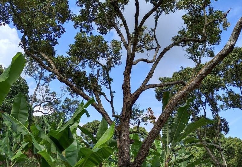 Kampung Mantin Dalam