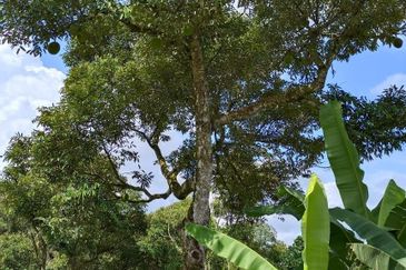 Kampung Mantin Dalam