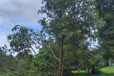 Kampung Mantin Dalam