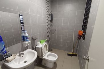 Siphonia @ Chemara Hills