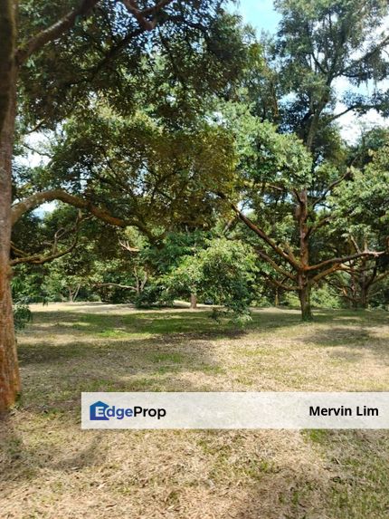 Raub Durian Farm Land Aqricultural Land for sale 48 acres 6 Fish Pond Pahang, Pahang, Sega