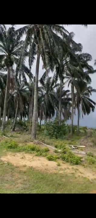 Seremban Bandar Sri Sendayan Zoning Industri Tanah untuk dijual Seremban Negeri Sembilan, Negeri Sembilan, Seremban