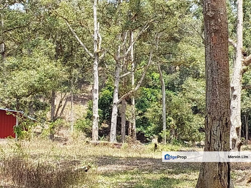 Rawang Ulu Yam highland durian farm for sale Selangor, Selangor, Batang Kali