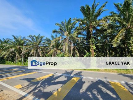 Johor Kota Tinggi Kota Kechil Jalan Lukut 6.881 Acres Agricultural Land Zoning Commercial For Sale, Johor, Kota Tinggi
