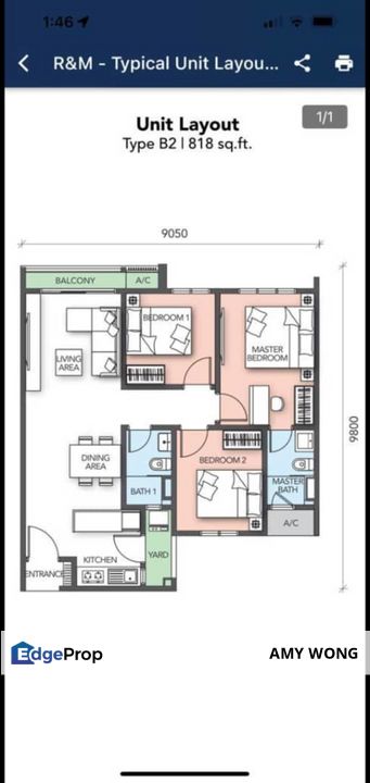 Ryan & Milo, Section 13, Petaling Jaya, PJ, Selangor, Petaling Jaya