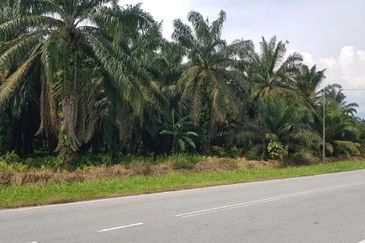Below Market Telok Panglima Garang Agriculture Land Zone Industry 2.2a