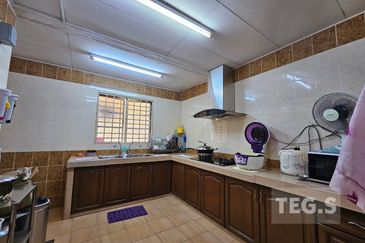 Anggerik Doritis @ Kota Kemuning