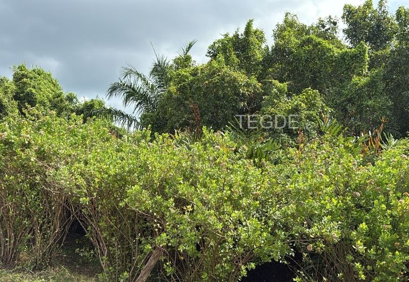 Kuala Selangor Api Api Agriculture Land Near Sea 1 acre
