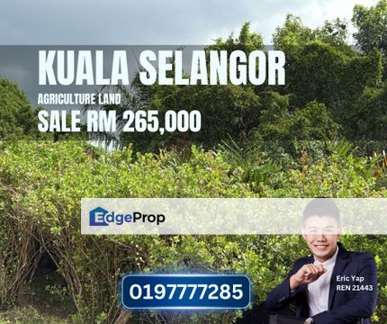 Kuala Selangor Api Api Agriculture Land Near Sea 1 acre, Selangor, Kuala Selangor