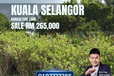 Kuala Selangor Api Api Agriculture Land Near Sea 1 acre