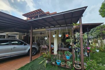 Anggerik Doritis @ Kota Kemuning