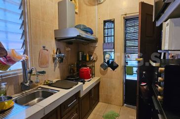 Anggerik Doritis @ Kota Kemuning