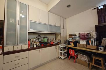 Anggerik Doritis @ Kota Kemuning