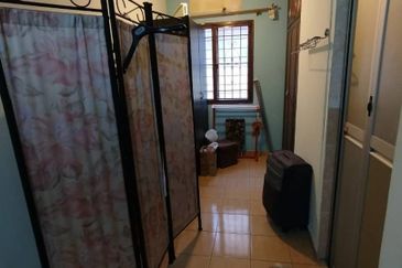 Anggerik Doritis @ Kota Kemuning