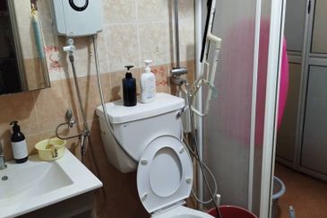 Anggerik Doritis @ Kota Kemuning