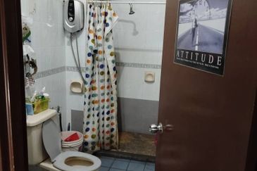 Anggerik Doritis @ Kota Kemuning