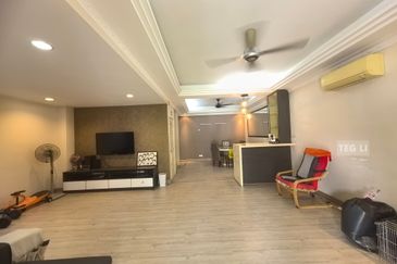 Anggerik Doritis @ Kota Kemuning