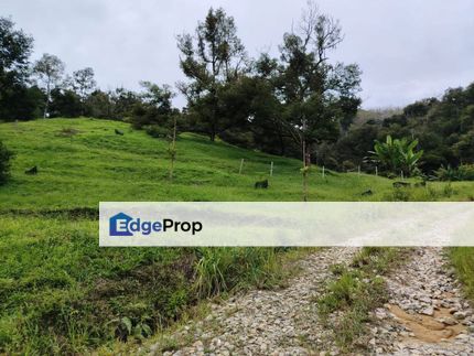 Freehold 4.18acres Bukit Tinggi Bentong Pahang Agriculture Land Resort, Pahang, Bentong