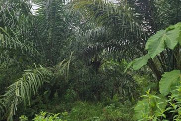 Telok Panglima Garang