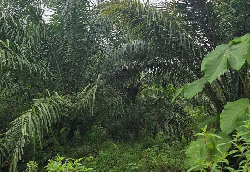 Telok Panglima Garang